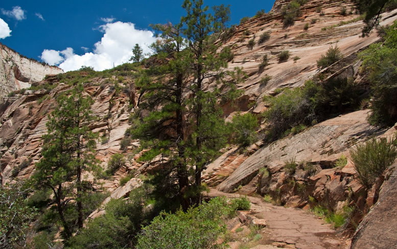 Weeping Rock Trail