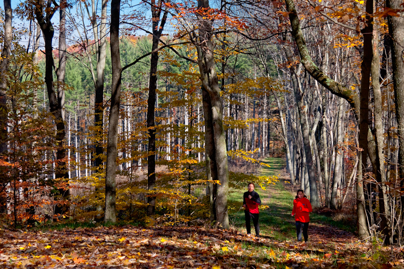 Fall Foliage on the Queer Ridge Trail