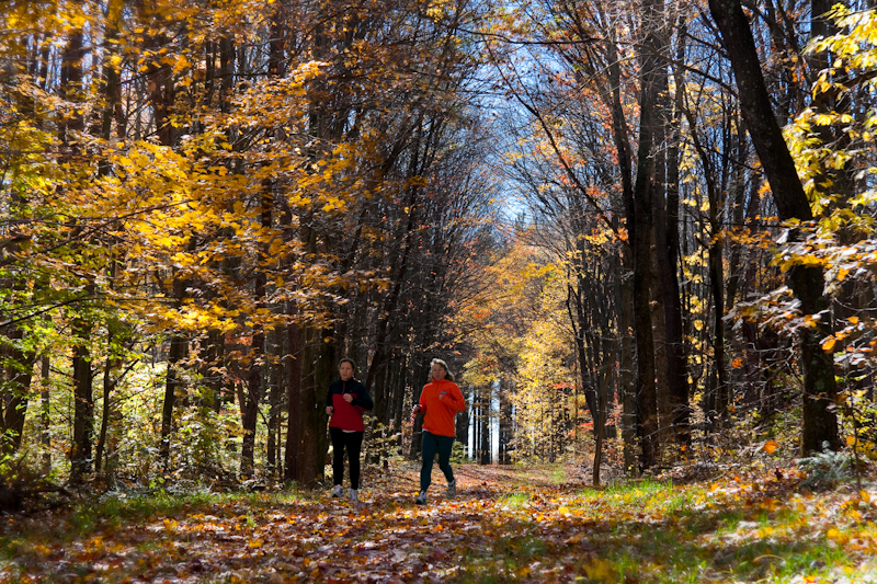 Fall Foliage on the Queer Ridge Trail